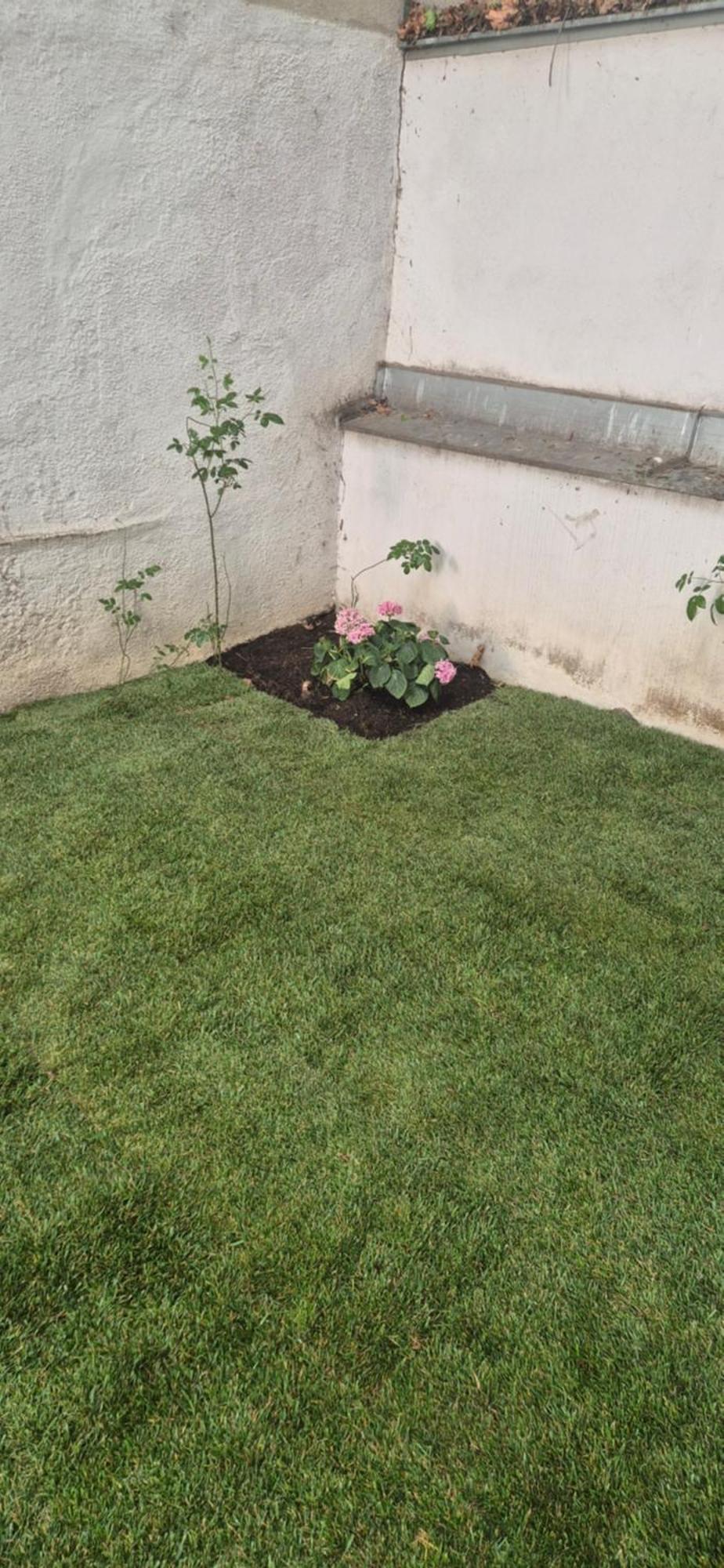 Apartamento Schoenbrunn Viena